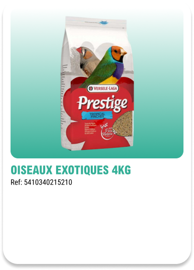 Card_ELeclerc_Marsannay_BasseCourt-Oiseaux_17