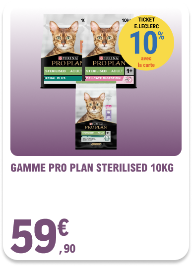 Card_ELeclerc_Marsannay_Chats_01
