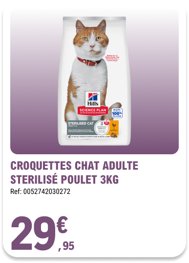 Card_ELeclerc_Marsannay_Chats_06