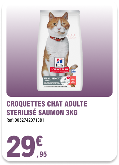 Card_ELeclerc_Marsannay_Chats_07