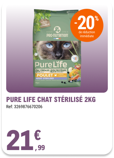Card_ELeclerc_Marsannay_Chats_08