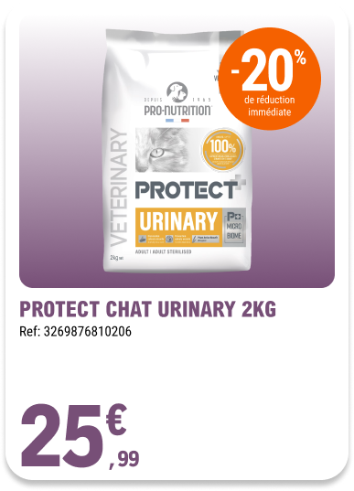 Card_ELeclerc_Marsannay_Chats_09