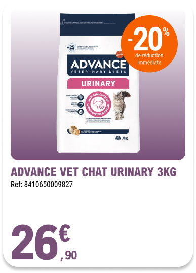 Card_ELeclerc_Marsannay_Chats_11