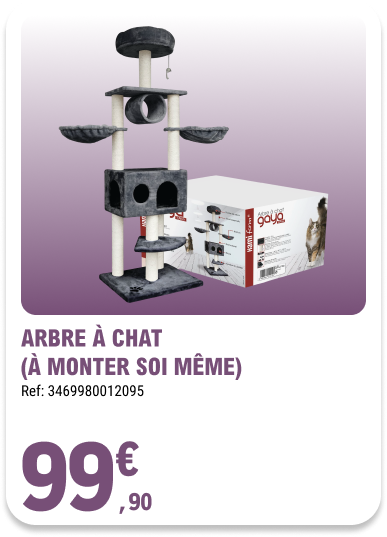 Card_ELeclerc_Marsannay_Chats_12