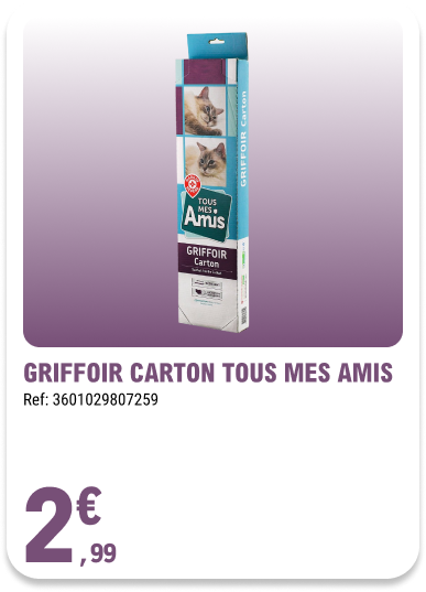 Card_ELeclerc_Marsannay_Chats_14