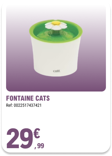 Card_ELeclerc_Marsannay_Chats_16