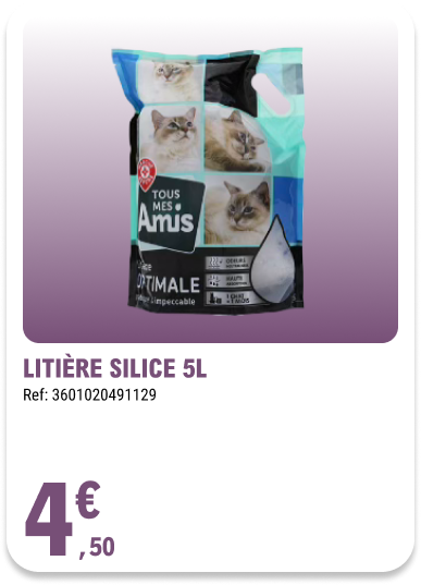 Card_ELeclerc_Marsannay_Chats_22