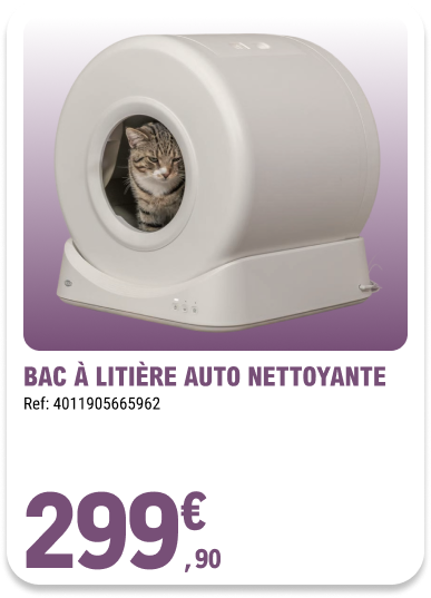 Card_ELeclerc_Marsannay_Chats_24