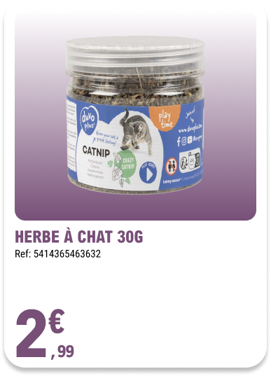 Card_ELeclerc_Marsannay_Chats_28