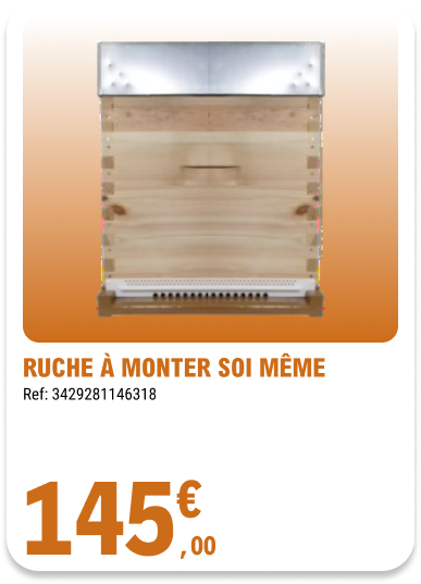 Card_ELeclerc_Marsannay_Chevaux-Abeilles_01