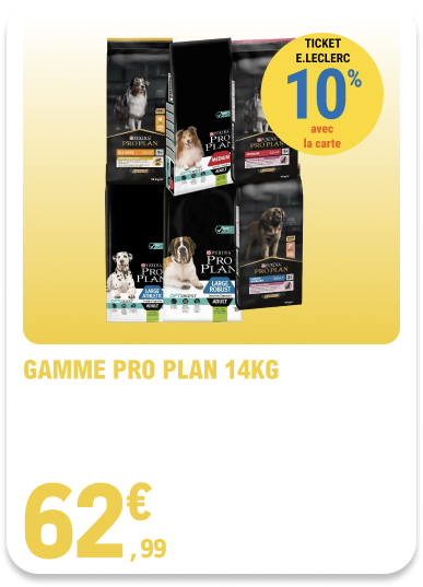 Card_ELeclerc_Marsannay_Chiens_02