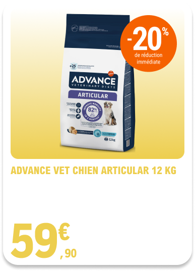 Card_ELeclerc_Marsannay_Chiens_07
