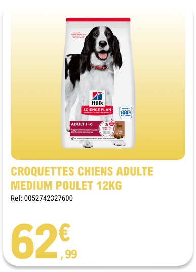 Card_ELeclerc_Marsannay_Chiens_08