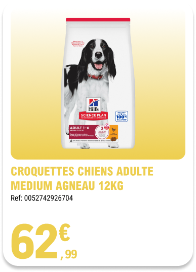 Card_ELeclerc_Marsannay_Chiens_09