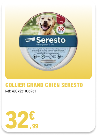 Card_ELeclerc_Marsannay_Chiens_18